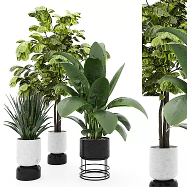 Indoor Plants Set 3