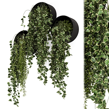 Modern Indoor Hanging Plants Set 3D model image 1 