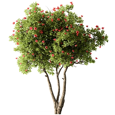 Rhododendron Blossom Tree Collection 287 3D model image 1 