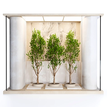 Glass-Enclosed Indoor Plant Set 3D model image 1 