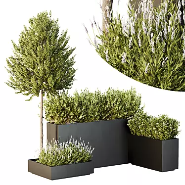 Greenery Garden Bushes Tree Pack 3D model image 1 