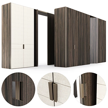 Modern Pivot Door & Wardrobe 3D model image 1 