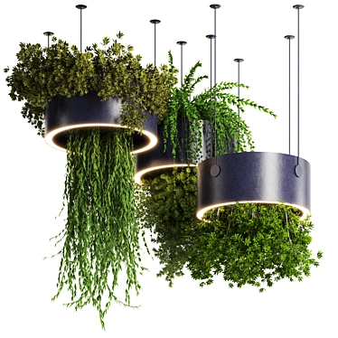 High-Quality Hanging Plant Set 3D model image 1 