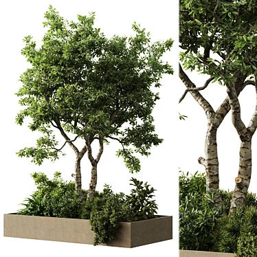 Outdoor Plant Set 29 Bundle 3D model image 1 