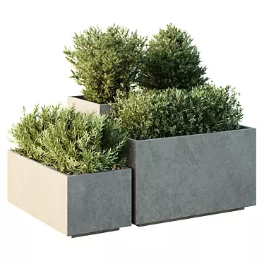 Lush Garden Box Collection VOL52 3D model image 1 