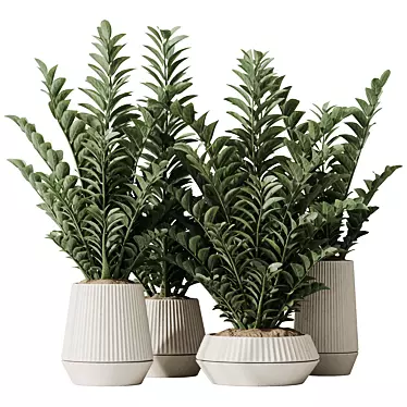 ZZ Zamioculcas Houseplant Variety Set 3D model image 1 