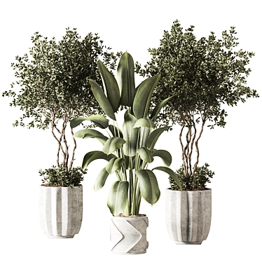 Modern Indoor Plant 3D Model 3D model image 1 