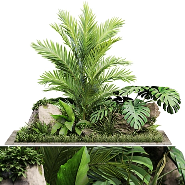  Verdant Foliage Collection 1026 3D model image 1 