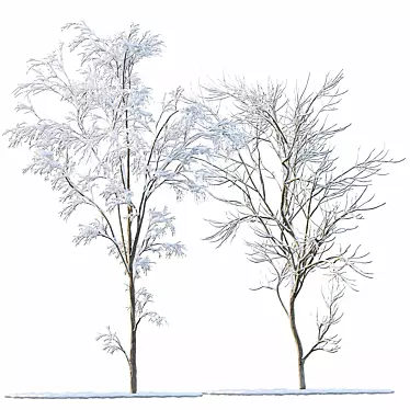 Winter Snow Tree 3D Models 3D model image 1 