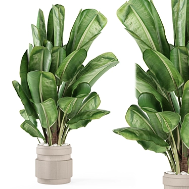 Modern Indoor Plants Set 1958 3D model image 1 