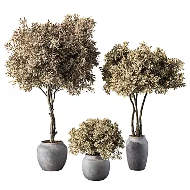 Botanical Sanctuary Set 3D model image 1 