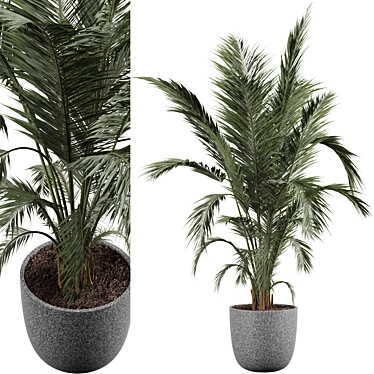 Modern Indoor Plant 3D Model 3D model image 1 