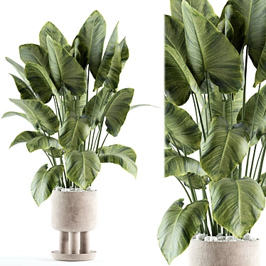 Custom Indoor Plant Model 3D 3D model image 1 