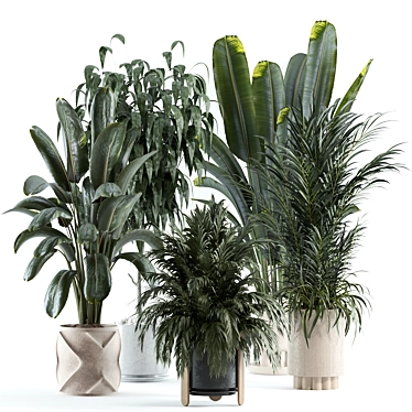 Custom Indoor Plant 3D Model 3D model image 1 