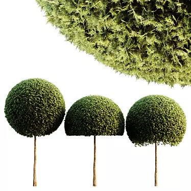 Spherical Tree Pack 3D Model 3D model image 1 