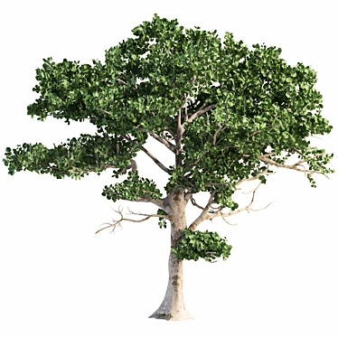 landscape environment tree set.01