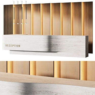 Modern Reception Desk Organic Design 3D model image 1 