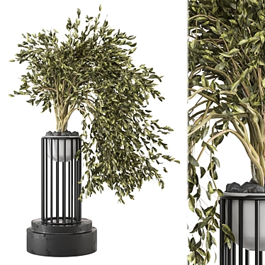 3D Indoor Plants Collection Set 3D model image 1 