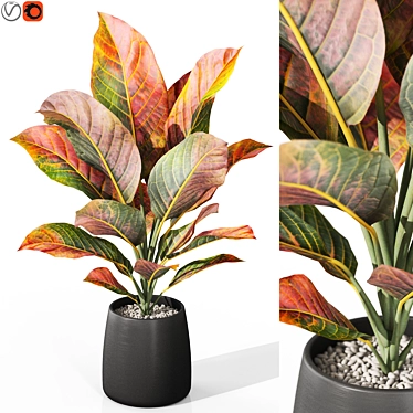  Plants Collection 1037: 3D Model 3D model image 1 