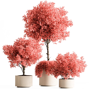 Pink Tree Indoor Plant 672 3D model image 1 