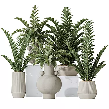 Zamioculcas Zamiifolia 3D Plant Bundle 3D model image 1 