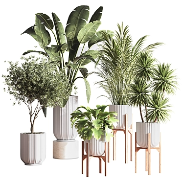 Lush Indoor Plant Set 3D model image 1 