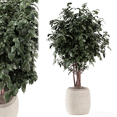 Rusty Concrete Pot Indoor Plants 3D model image 1 