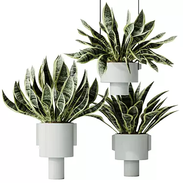 Elegant Snake Plant Set - Feng Shui Greens 3D model image 1 