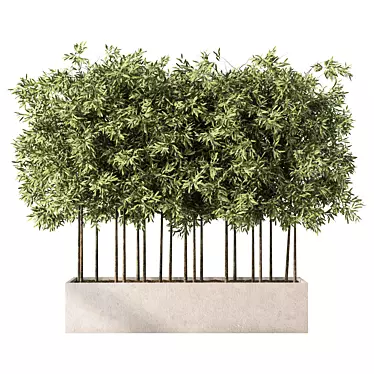 Evergreen Outdoor Plant No.60 3D model image 1 