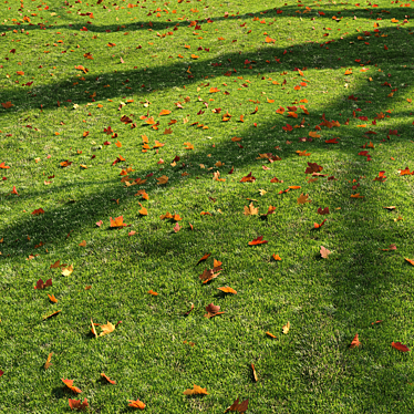 lawn with leaves 2