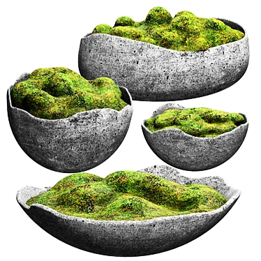 Moss & Stone Decor Set 3D model image 1 