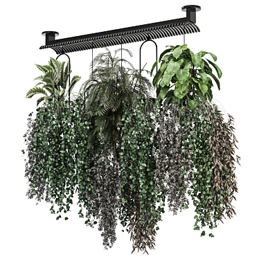  Hanging Indoor Plants Metal Box 3D model image 1 