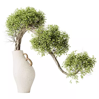 Ficus Ginseng Bonsai Tree 3D 3D model image 1 