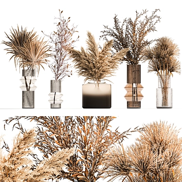 Modern Dried Flower Collection 3D model image 1 