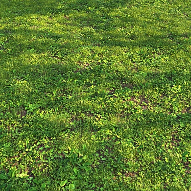 Versatile Grass Scatter Kit 3D model image 1 