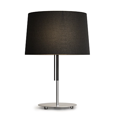 Elegant Versatile Designer Table Lamp 3D model image 1 