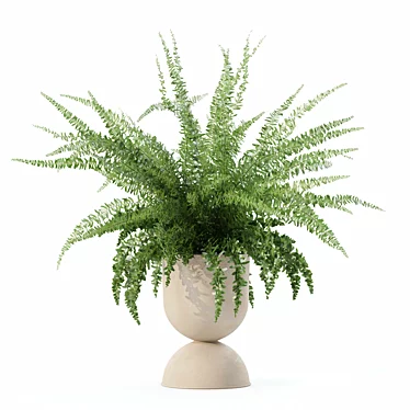 Modern Fern Plant Pot Beauty 3D model image 1 