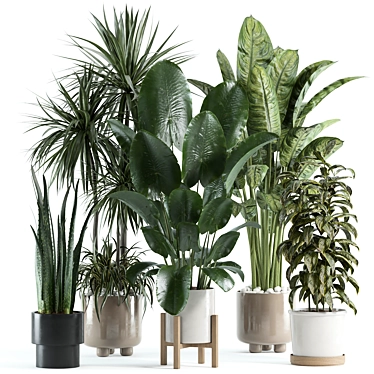 Custom VRay Indoor Plant Model 3D model image 1 