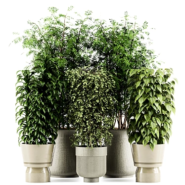 High-Quality Indoor Plant Set 3D model image 1 