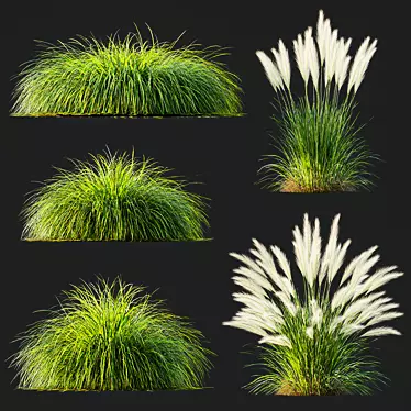 Variety of High-Quality Grass Models 3D model image 1 