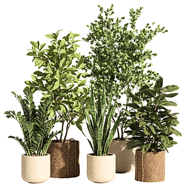 Rattan Stone Indoor Plant Set 3D model image 1 