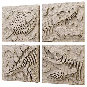 DIY Fossil Art Kit Collection 3D model image 1 