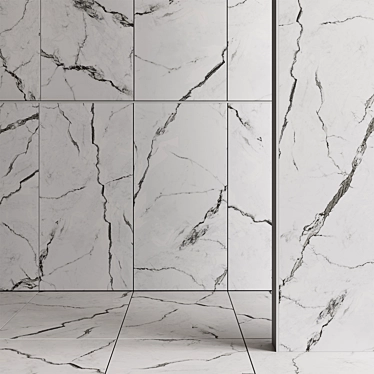 Natural Stone Slab Tiles 3D model image 1 