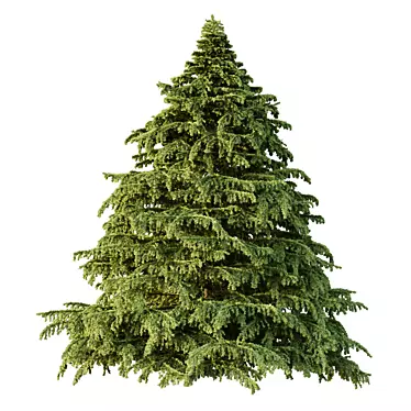 Title: Deodara06 3D Tree Model 3D model image 1 