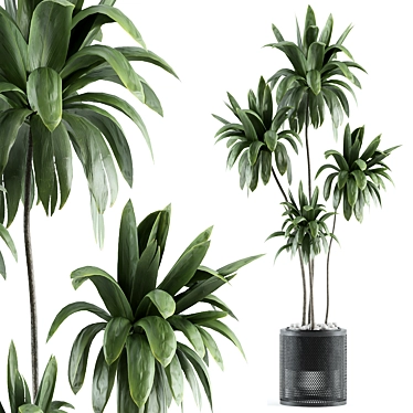 Modern Indoor Plant Model 161 3D model image 1 