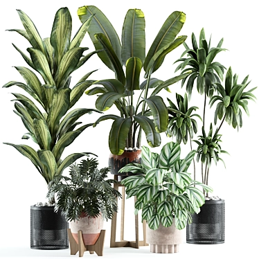 Customizable Indoor Plant Model 3D model image 1 