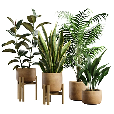 Exotic Indoor Plants Collection Pack 3D model image 1 