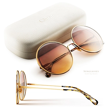 Chloe CH-0037S Sunglasses 3D Model 3D model image 1 