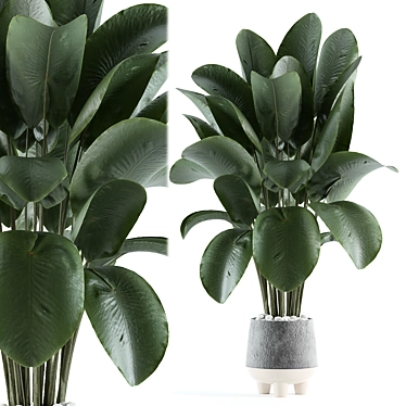 Modern Indoor Plant Model 166 3D model image 1 