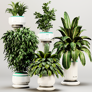 Indoor Plant set 01